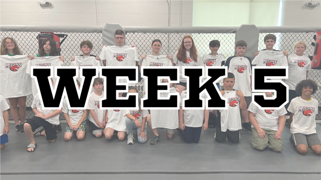 Summer College Aspiration Programs Week 5