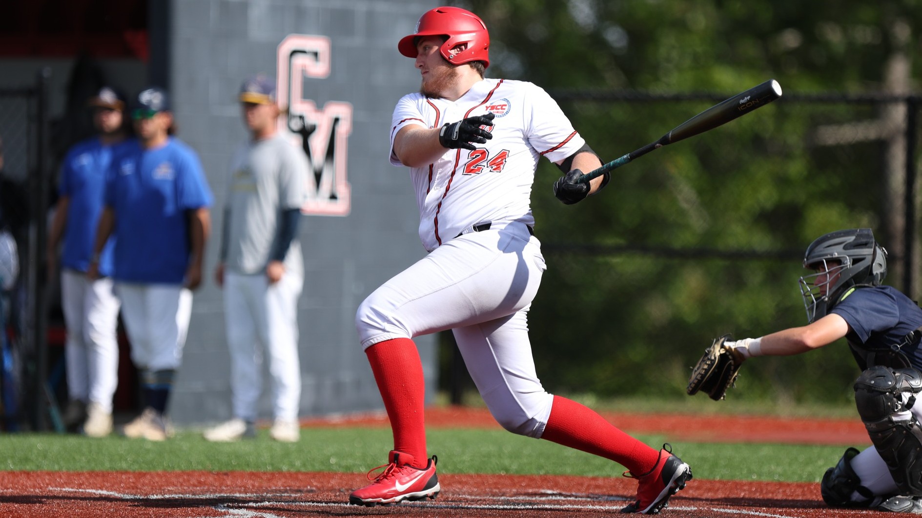 Mustangs Swept by PSU-Schuylkill to End Road Trip