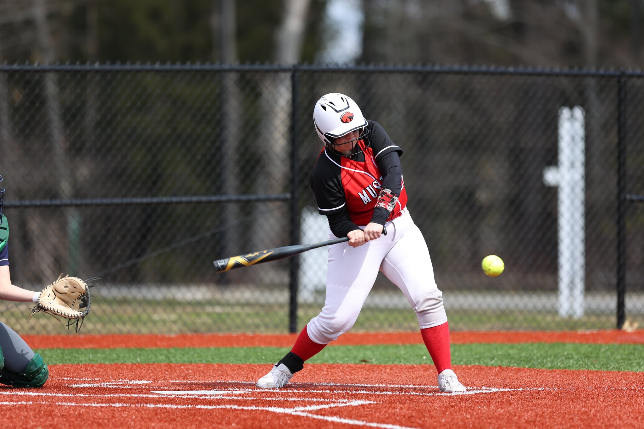 Mustangs Sweep Badgers