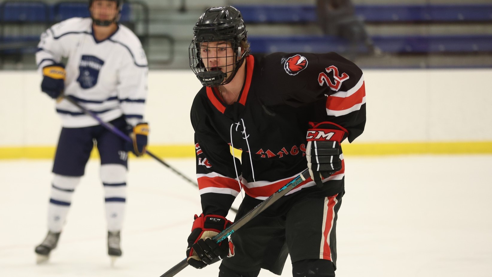 Men&rsquo;s Hockey Holds Off Curry, 5-4