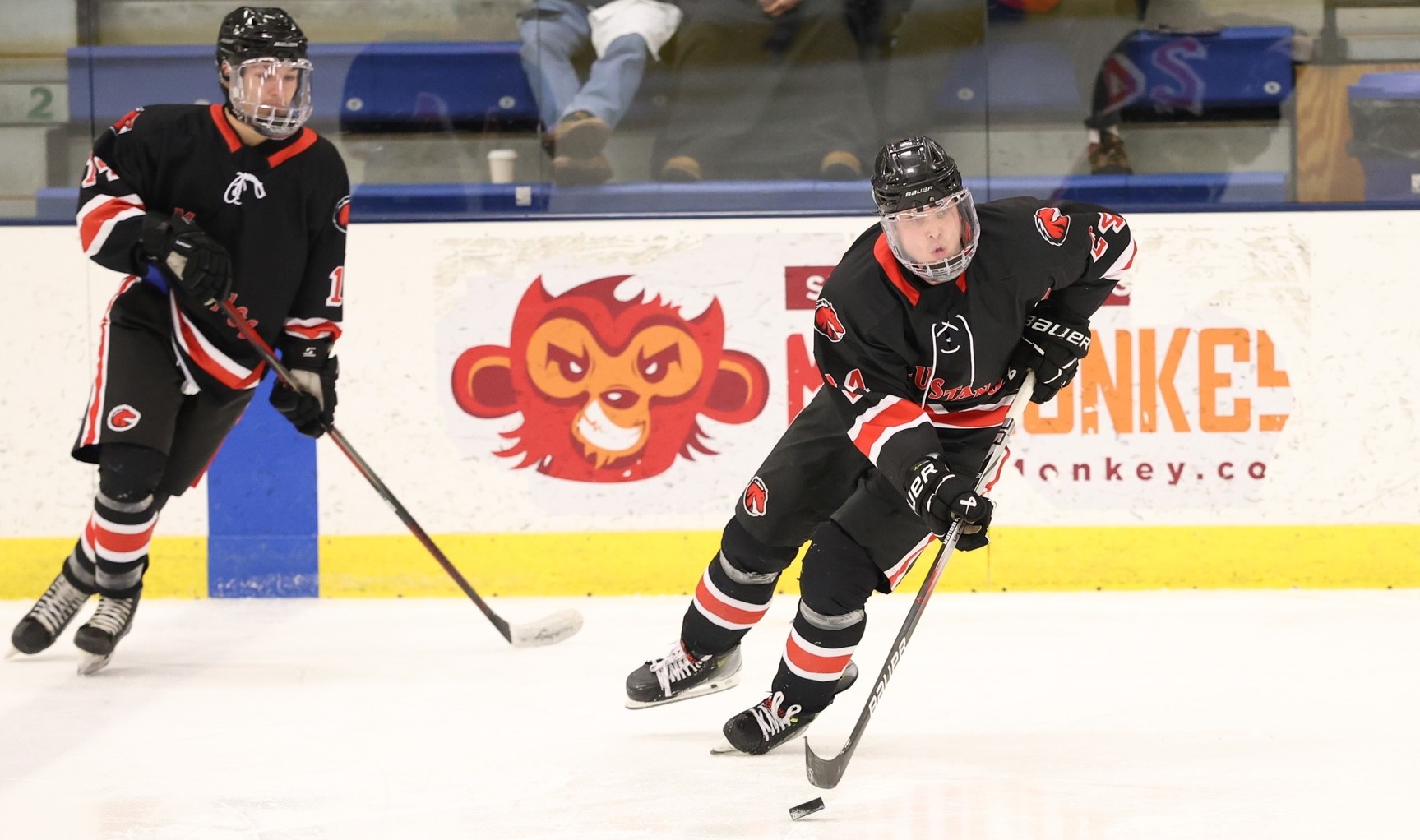 Men&rsquo;s Hockey Ousts Wentworth, Higgins Sets Record