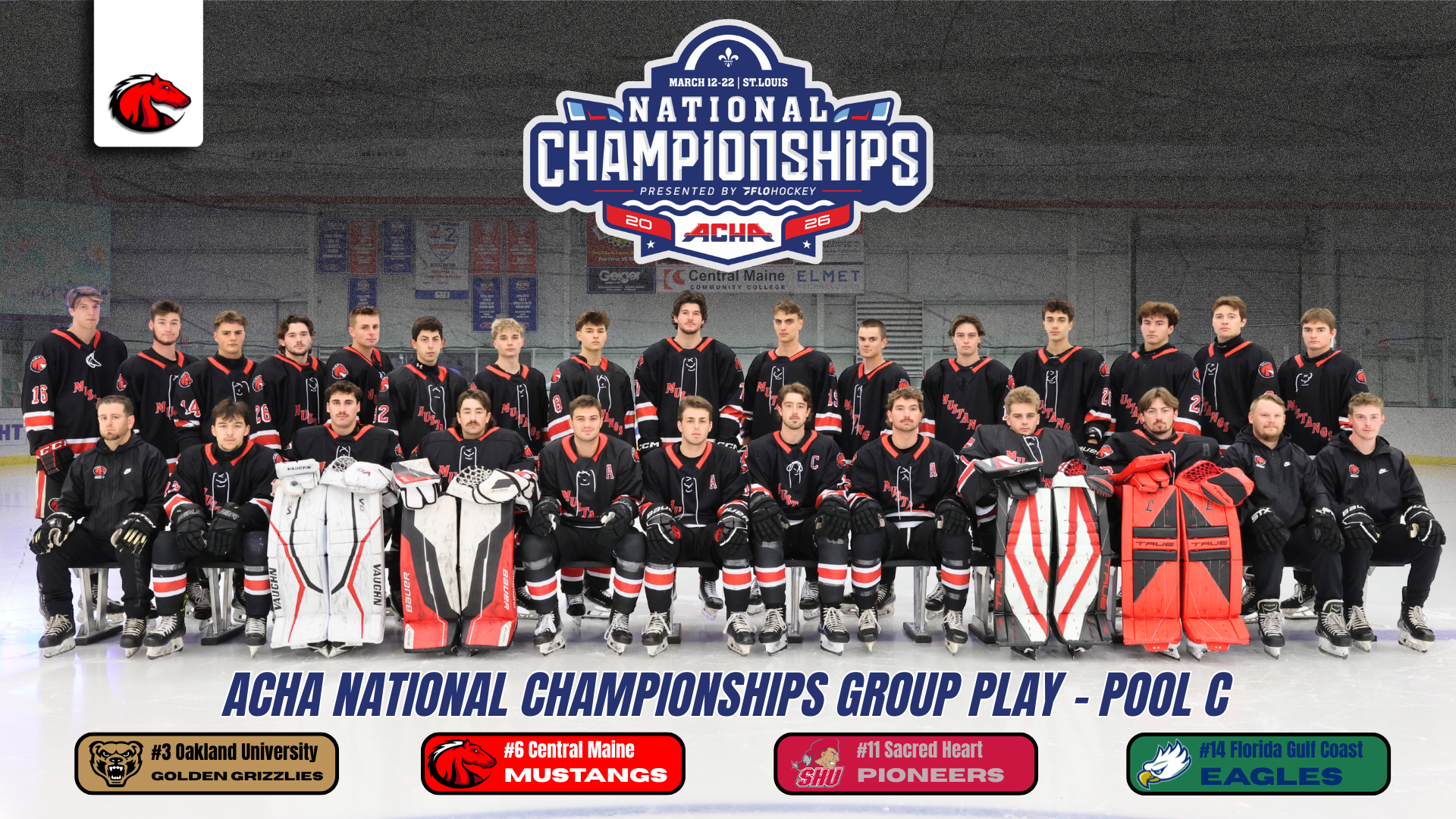 Men&rsquo;s Ice Hockey Earns Bid to ACHA National Championships