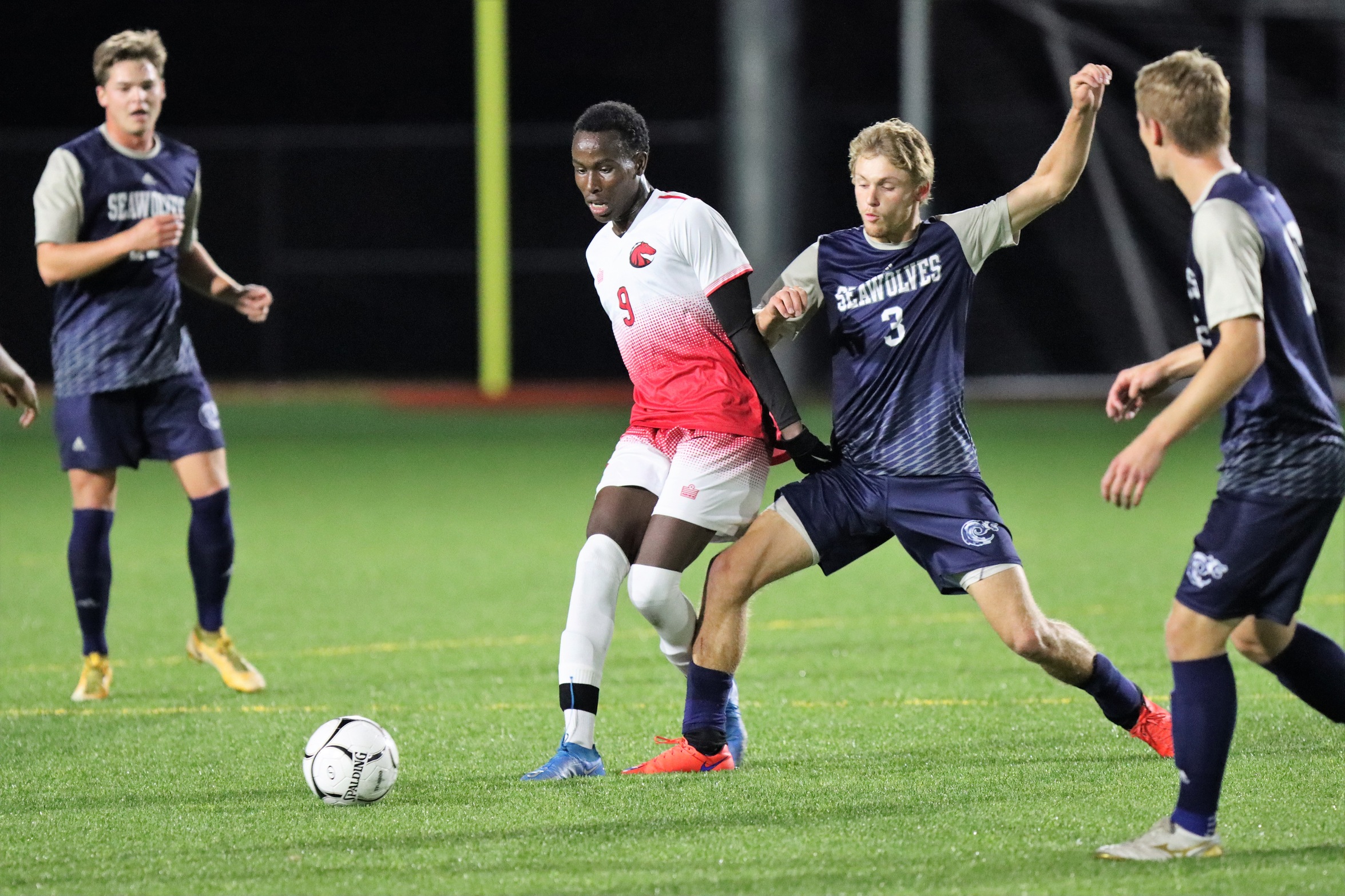 Mustangs and Seawolves draw