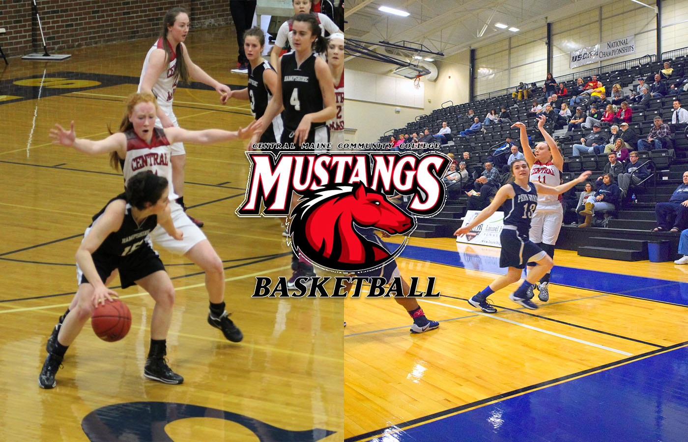 Women's Basketball Names Captains
