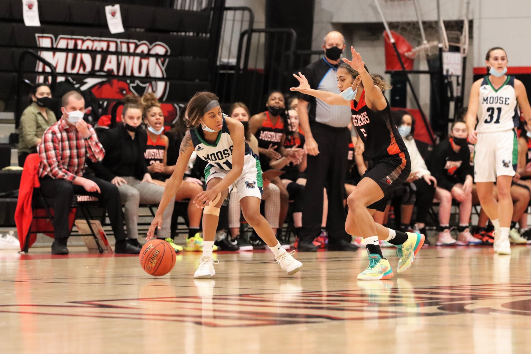 Mustangs shocked by Moose