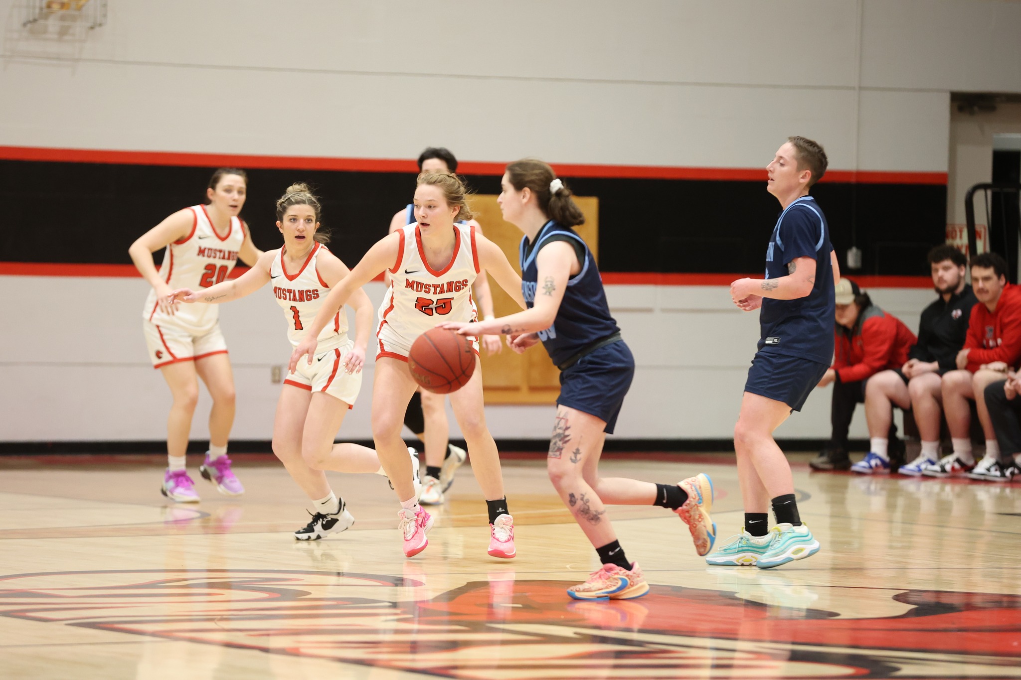 Women's Basketball eases past Vermont State Johnson